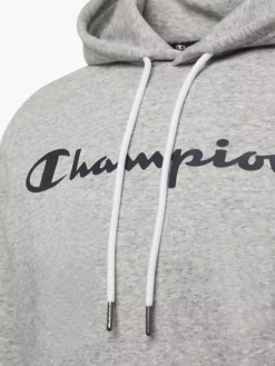 Champion Hoodie -Ausgewählte Modegeschäfte 2018438 H3