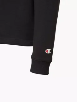 Champion Hoodie -Ausgewählte Modegeschäfte 2018525 H3