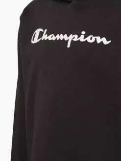 Champion Hoodie -Ausgewählte Modegeschäfte 2018525 H4