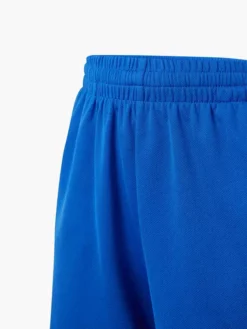 Nike Shorts -Ausgewählte Modegeschäfte 2168509 H3