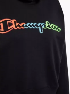 Champion Hoodie -Ausgewählte Modegeschäfte 2180802 H4