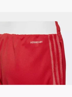 Adidas Ajax Tiro Trainingsshorts -Ausgewählte Modegeschäfte 8012 GT9564 P3
