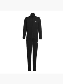 Adidas Essentials Big Logo Trainingsanzug